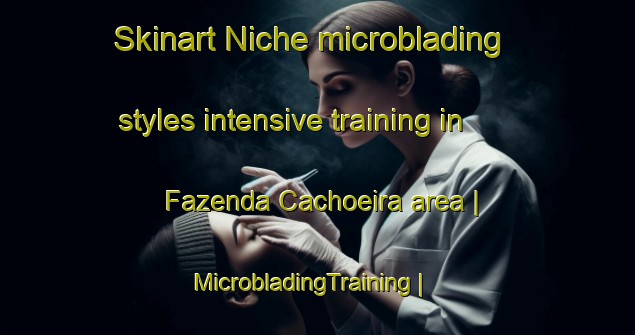 Skinart Niche microblading styles intensive training in Fazenda Cachoeira area | MicrobladingTraining | MicrobladingClasses | SkinartTraining-Brazil